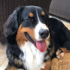 Meet your Posher, Ilona